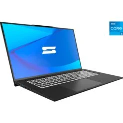 Schenker WORK 17 M23 (10506248), Notebook